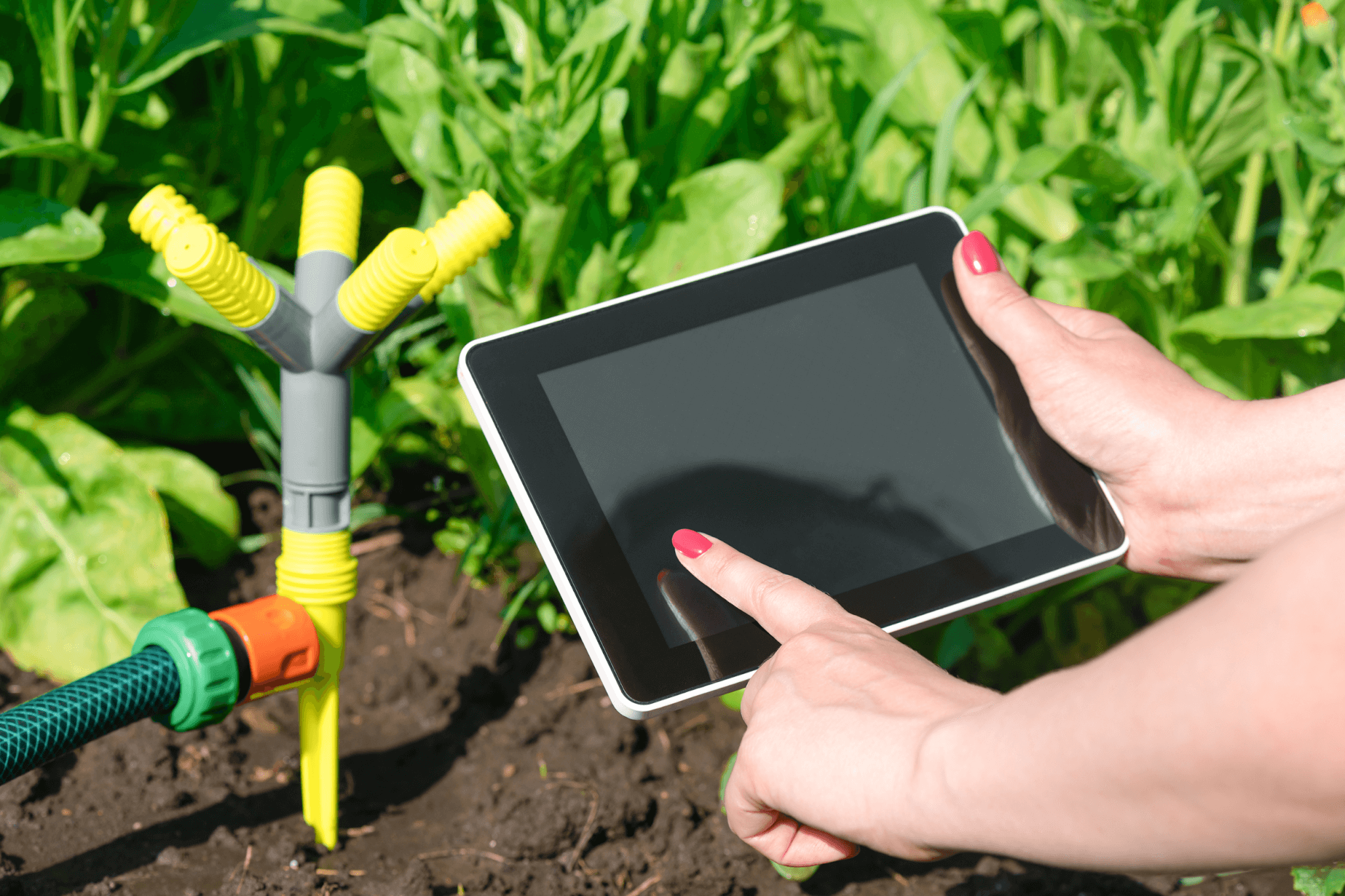 Smart Micro Irrigation System